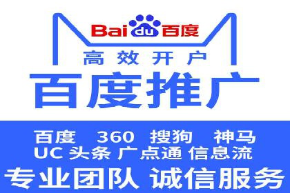 专业SEM运营托管服务案例分析